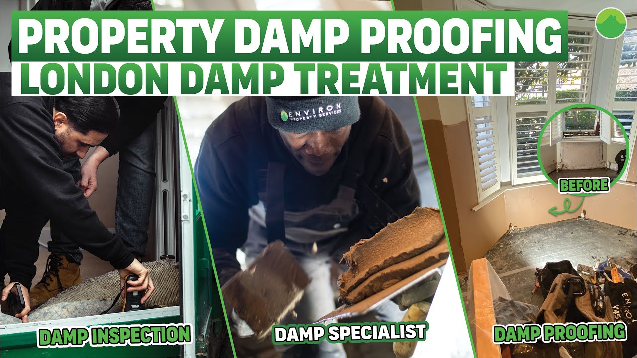  London Flat Maintenance – Damp Proofing Solutions for Landlords