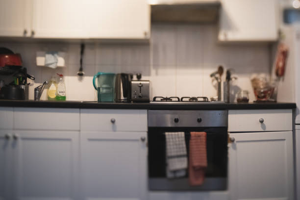 Ants in Kitchen London - Fast Pest Control for Properties