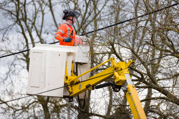 Crane Operator Jobs London - Heavy Lifting and Construction Careers