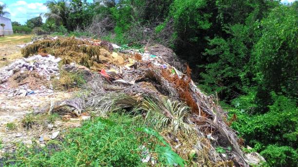 Vegetation Encroachment Reports UK - Property, Land and Infrastructure Surveys