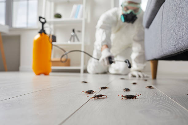 Fumigation Services – Professional Pest Treatment & Property Fumigation