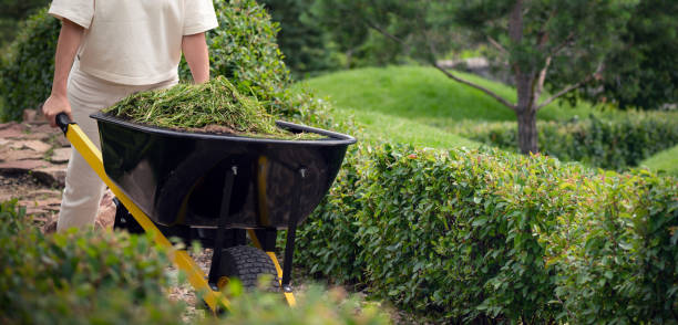 Garden Clearance Cost – UK Prices for Clearing an Overgrown Garden in 2026