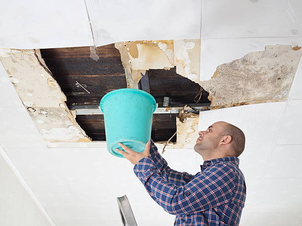 Leaky Roof Repair Near Me – Local Roof Leak & Emergency Roofing Services