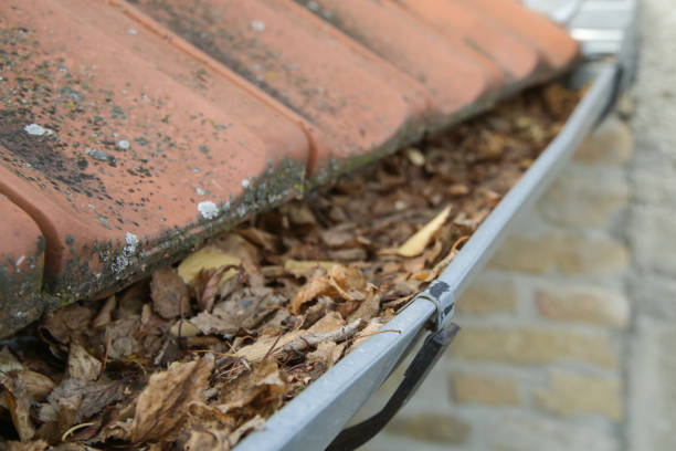 Blocked Gutter - Causes, Warning Signs, Cleaning and Property Maintenance Guide