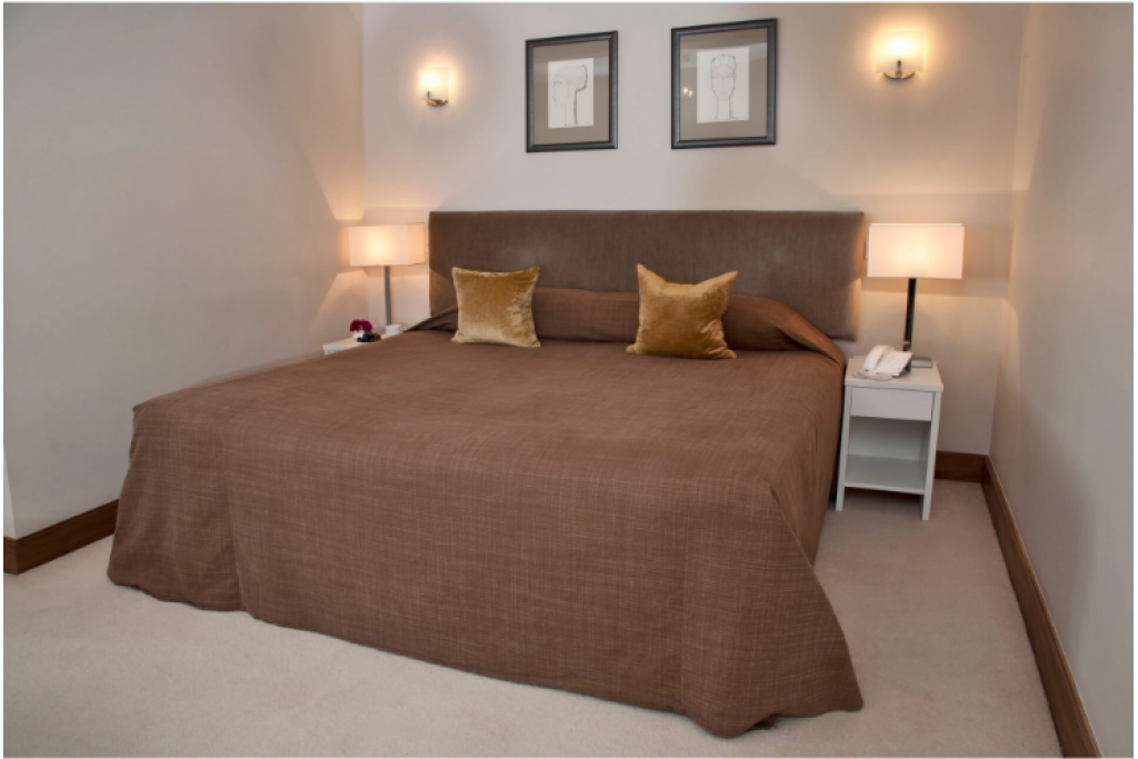 Superior Studio with Garden View – £600 per Night / £1,800 for 3 Nights