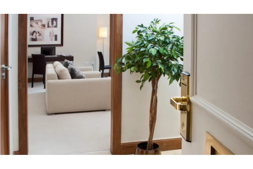 Superior One Bedroom Apartment with Garden View