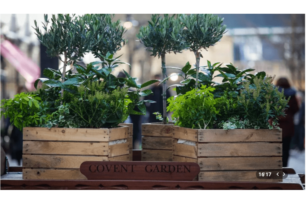 2 Bedroom Apartment to Rent – St Martin's Lane, Covent Garden, London WC2