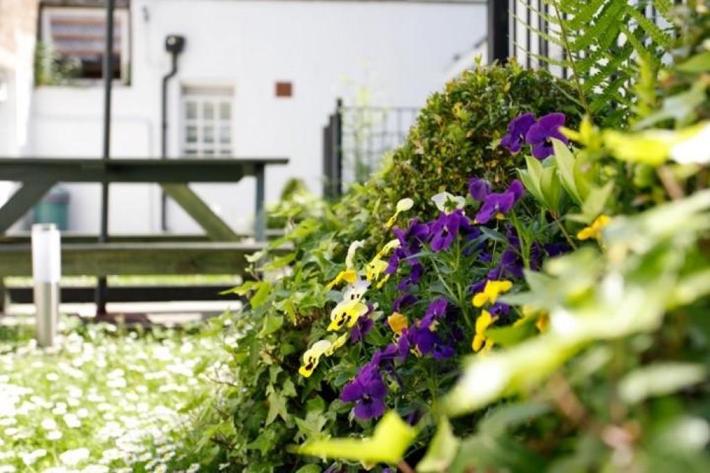 Modern Studio Flat – Flat 403, North Gower Street, Euston NW1 2LY