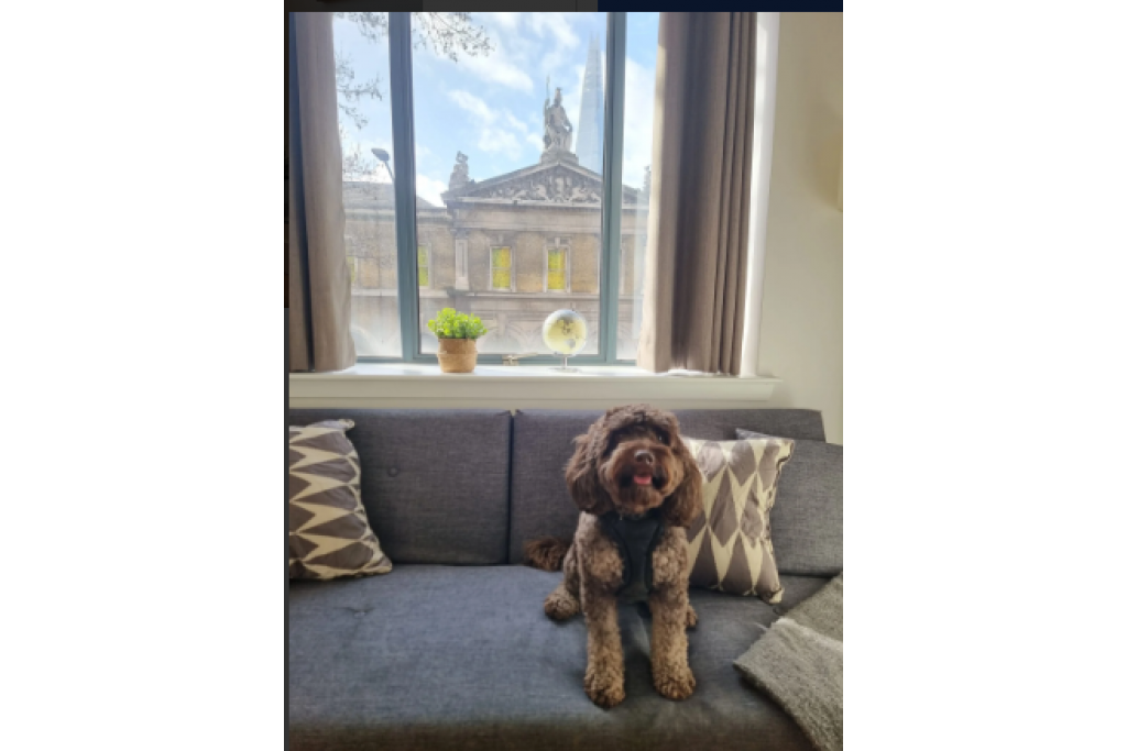 Garrick Mansions Serviced Apartments - Charing Cross, London