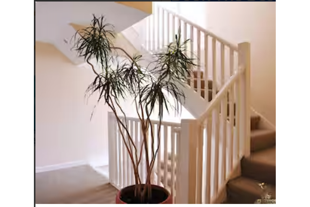 Smythen Street Apartments – Serviced Apartments in Exeter