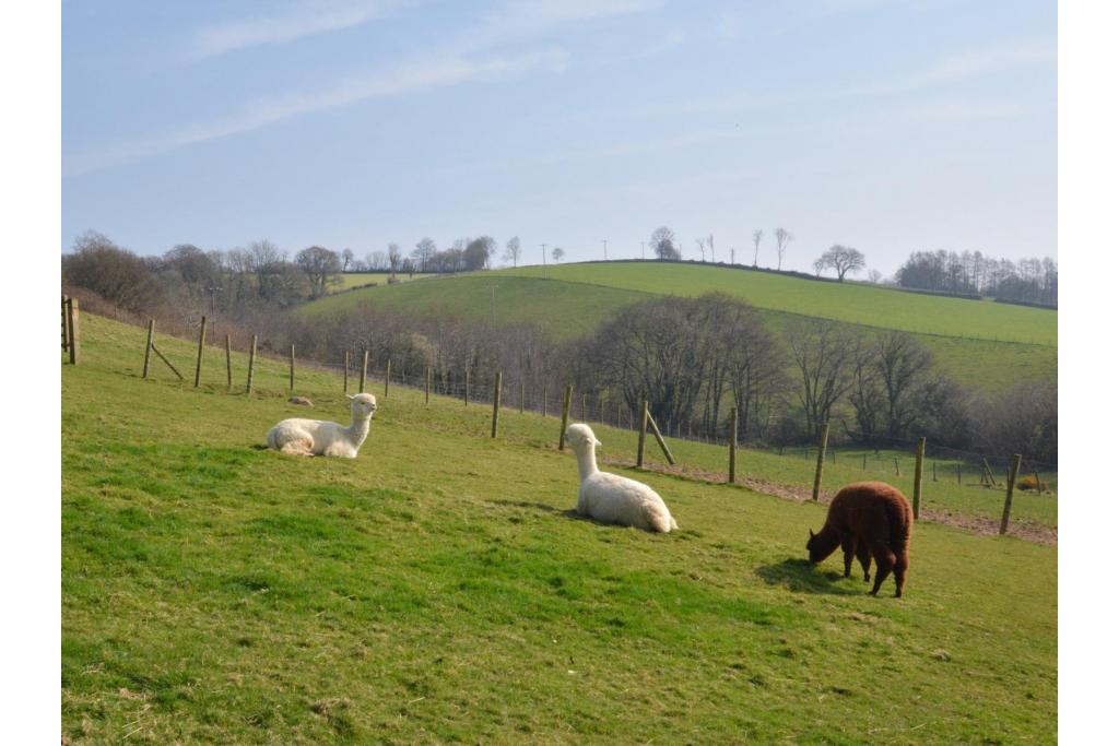 North Gate Barn South Molton (2mls NW), Exmoor