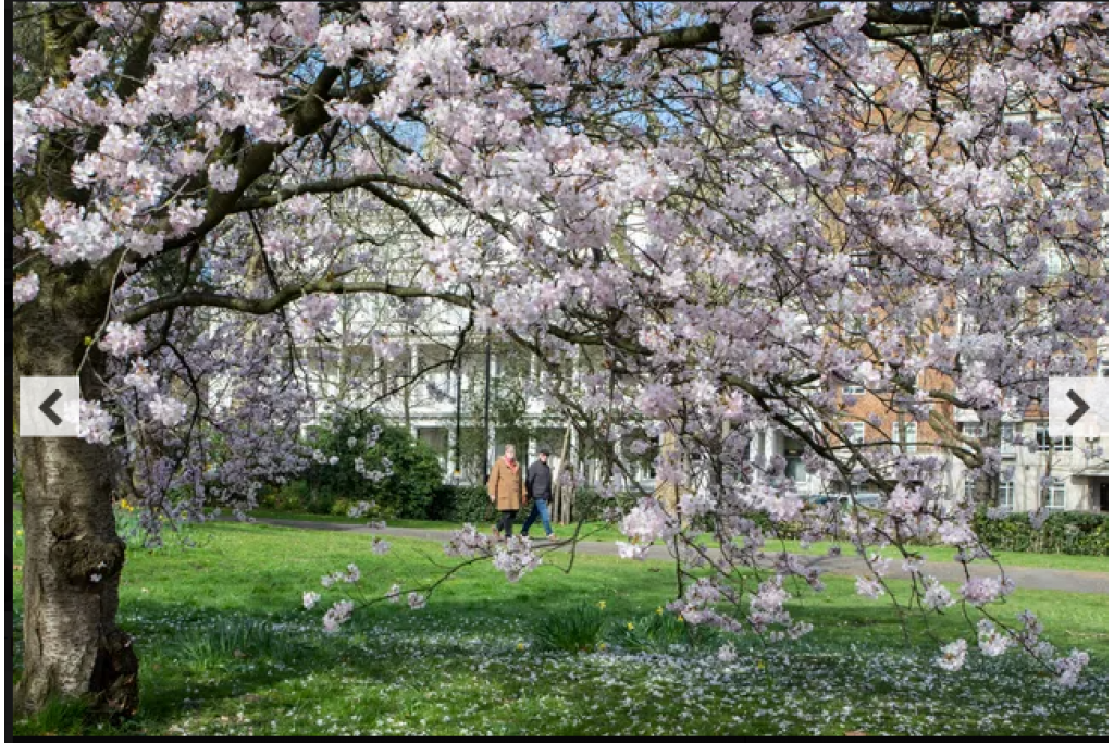 Bathurst Mews III, Bayswater – Charming 2-Bedroom Retreat with Private Ensuite Bathrooms