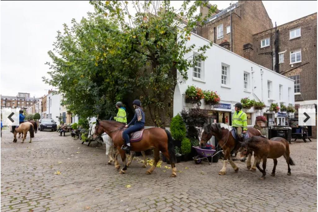 Bathurst Mews II, Bayswater – Charming Two-Bedroom Mews House – POA