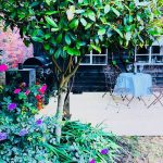 Picturesque Grade 2 Listed Thatched House in Suffolk