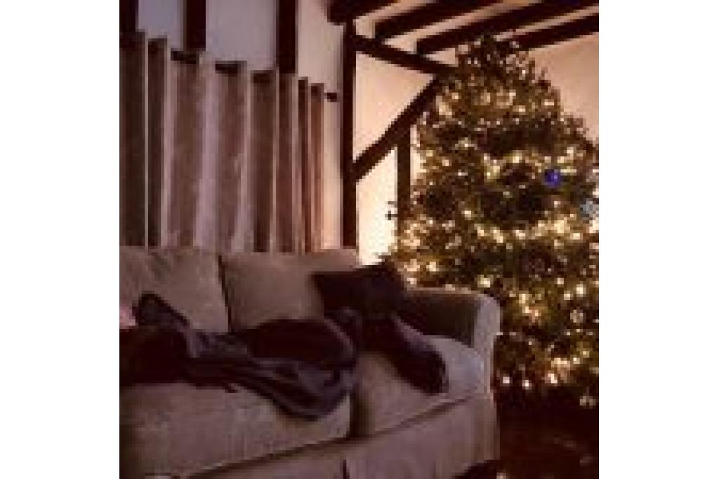 Picturesque Grade 2 Listed Thatched House in Suffolk