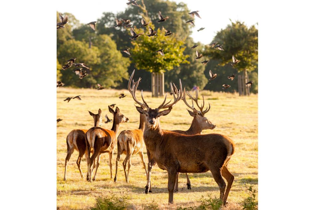 The Star and Garter - Luxurious 2, 3 & 4 Bedroom Apartments & Studio