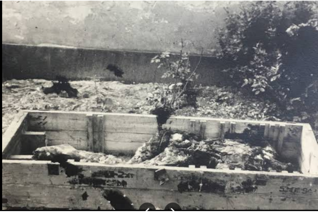 Major Regeneration Opportunity – St James Hospital Site, 24.8 Acres – Southsea PO4