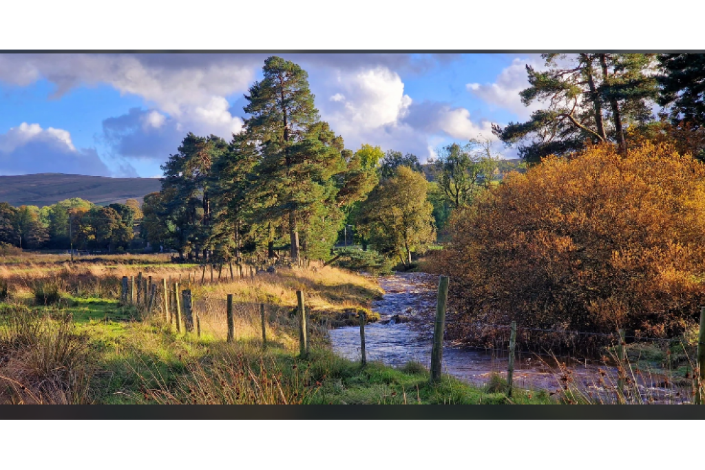 Colleton Cottage at Lovelady Shield - A Historical Retreat in Cumbria
