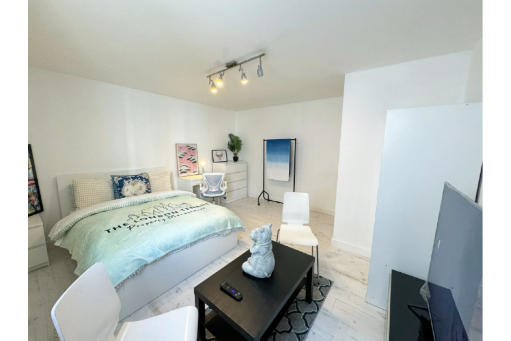 Stylish Riverside Room with Smart TV – Perfect for Professionals