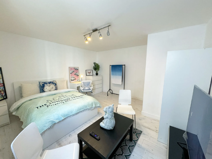 Stylish Riverside Room with Smart TV – Perfect for Professionals