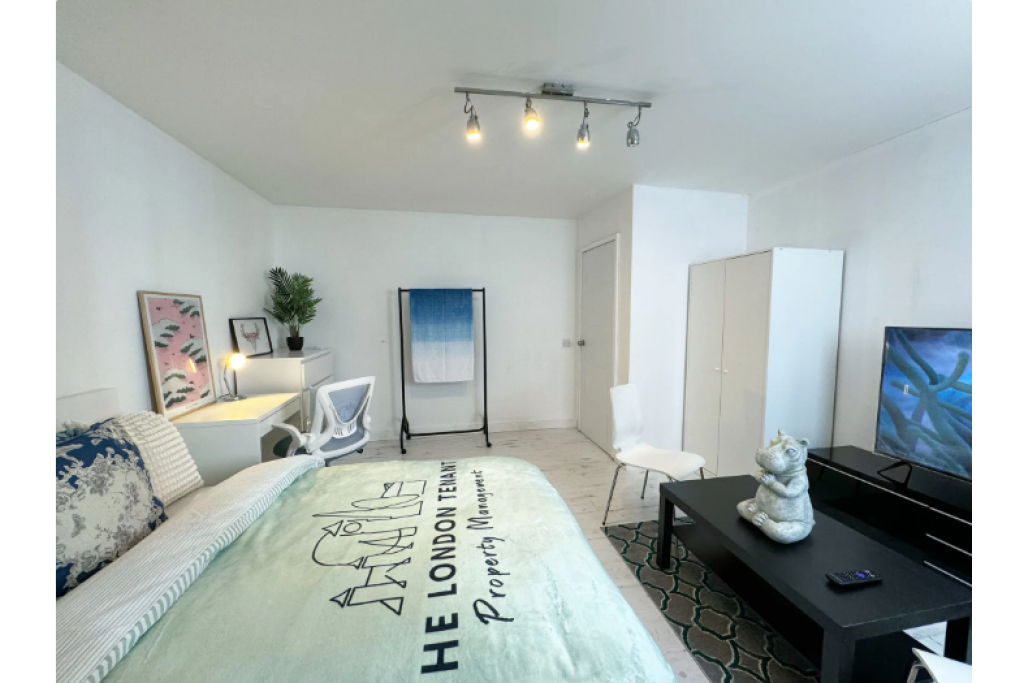 Stylish Riverside Room with Smart TV – Perfect for Professionals