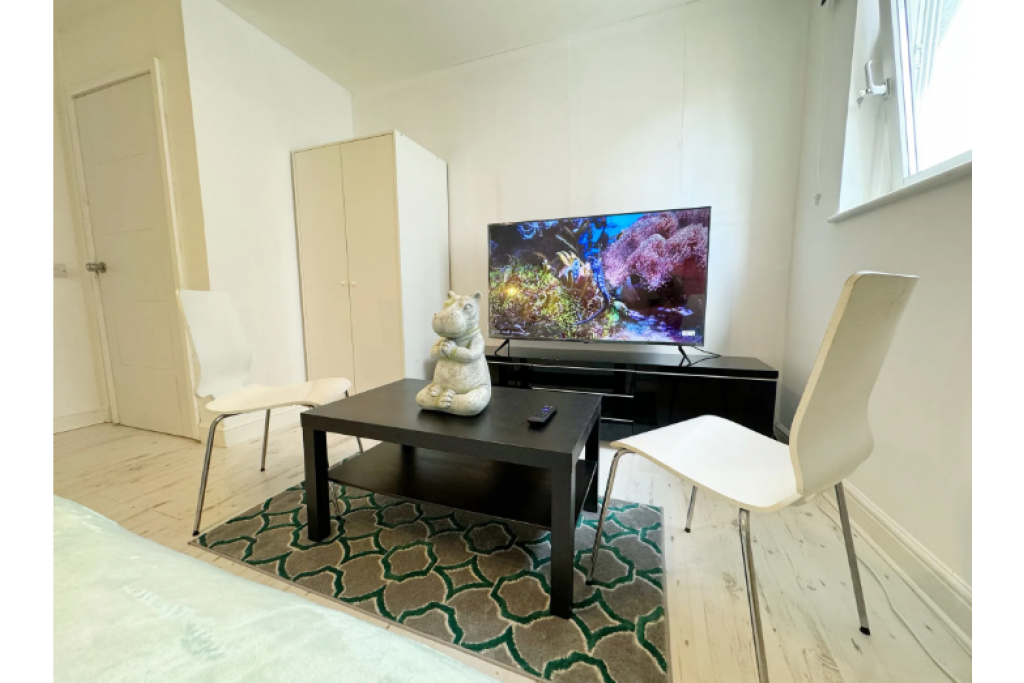 Stylish Riverside Room with Smart TV – Perfect for Professionals