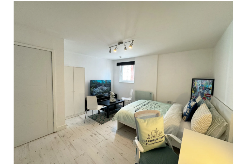 Stylish Riverside Room with Smart TV – Perfect for Professionals