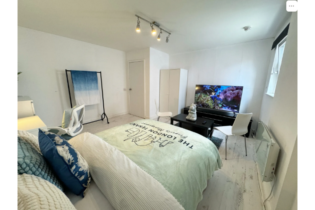 Stylish Riverside Room with Smart TV – Perfect for Professionals
