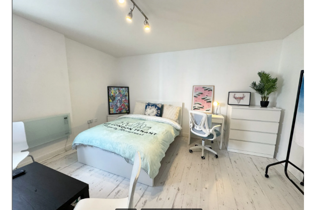 Stylish Riverside Room with Smart TV – Perfect for Professionals