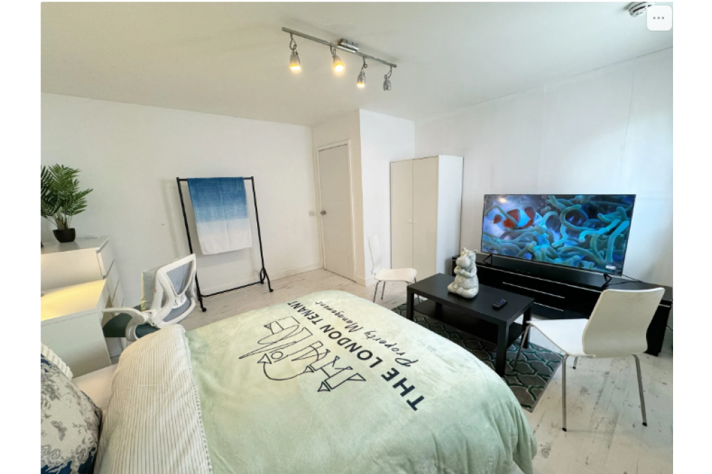Stylish Riverside Room with Smart TV – Perfect for Professionals