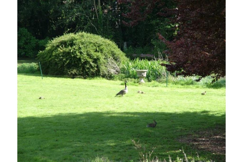 Office To Let - Church Street, The Stable Block, The Bury, Chesham, Buckinghamshire