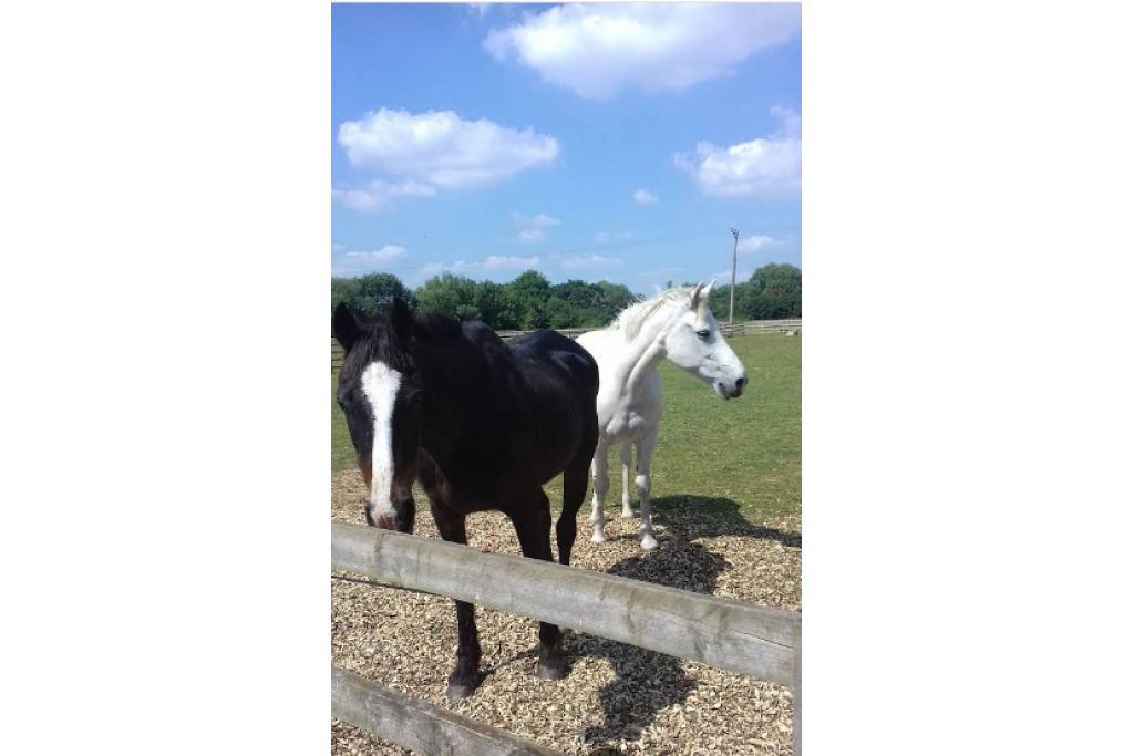 Ickford Rd – Brissenden Farm, Industrial, Worminghall, Buckinghamshire HP18 9LA