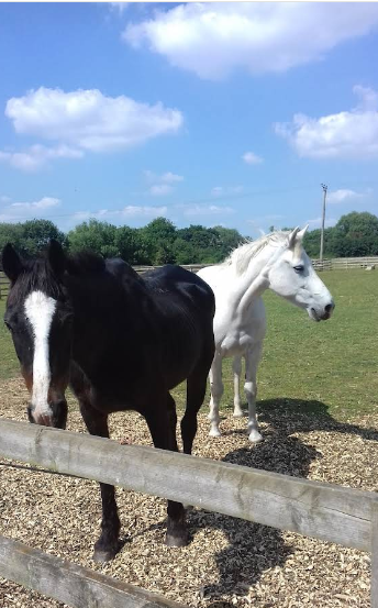 Ickford Rd – Brissenden Farm, Industrial, Worminghall, Buckinghamshire HP18 9LA