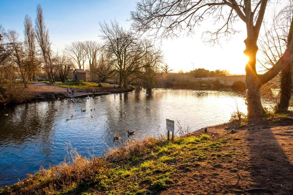 Dunstall Park, Tamworth – Spacious Family Homes in a Thriving Market Town