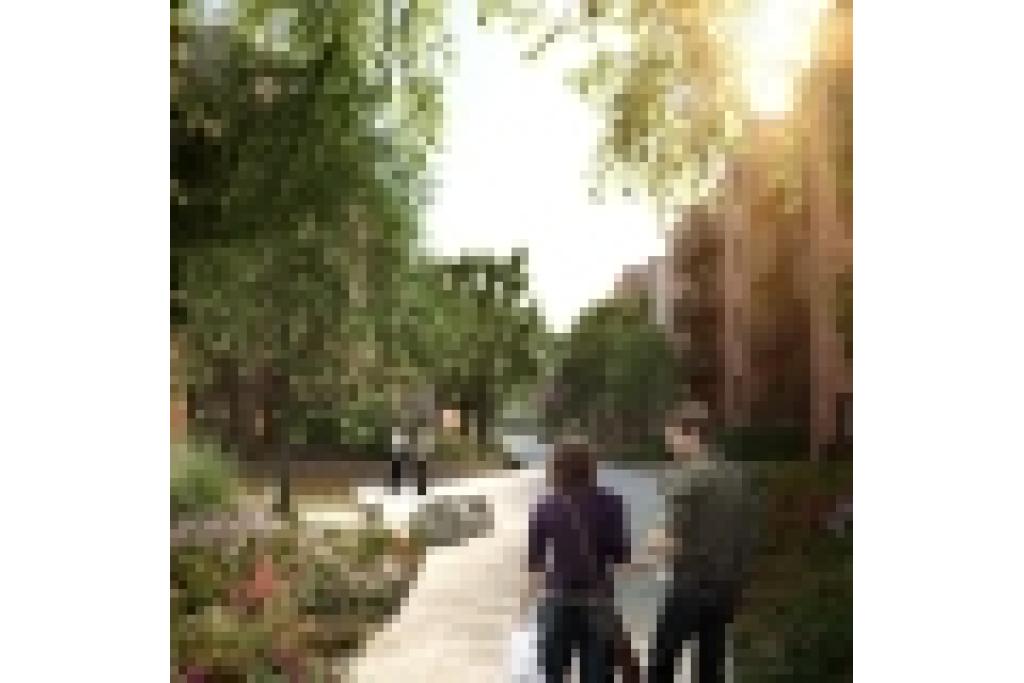 The Lanes at Springfield Village – SW17, London